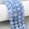 Dyed Natural Malaysia Jade Beads Strands G-G021-01D-07-5
