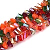 Electroplate Glass Beads Strands GLAA-T023-A17-01-1