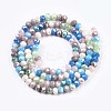 Glass Beads Strands GLAA-T006-16E-2