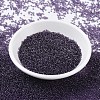 MIYUKI Round Rocailles Beads SEED-X0054-RR0157-2