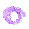 Transparent Glass Enamel Beads Strands GLAA-B021-05E-2