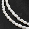 Natural Freshwater Shell Beads Strand BSHE-E026-16B-4