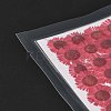 Centaurea Iberica Embossing Dried Flower DIY-K032-65K-4