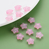 Transparent Acrylic Beads LS-X-MACR-S373-26E-08-6