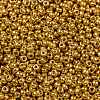 MIYUKI Round Rocailles Beads X-SEED-G008-RR4203-3