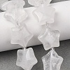Natural Quartz Crystal Beads Strands G-K359-E21-1