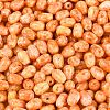 Picasso Glass Seed Beads SEED-N012-10B-3