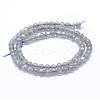 Natural Labradorite Beads Strands G-P342-09A-5mm-A++-2