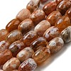 Natural Dragon Veins Agate Beads Strands G-A223-D11-01E-2