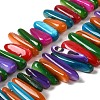 Natural Freshwater Shell Beads Strands SHEL-K006-40-1