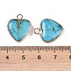Dyed Synthetic Imperial Jasper Pendants G-P529-08G-01-3