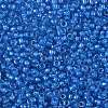 TOHO Round Seed Beads X-SEED-TR08-0309-2