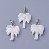 Shell Pendants X-SSHEL-E571-15P-2