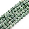 Frosted Natural Green Spot Jasper Round Bead Strands G-M064-6mm-10-1