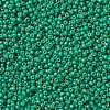 MIYUKI Round Rocailles Beads SEED-X0055-RR4477-3