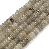 Natural Labradorite Beads Strands G-Z110-B11-2x4mm-2