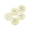 Natural Freshwater Shell Connector Charms LS-SHEL-XCP0001-05-4