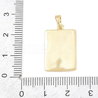 Brass Enamel Pendants KK-F938-40G-02-1