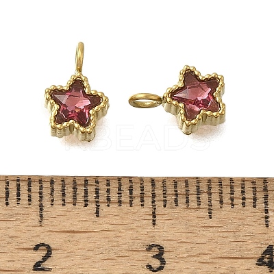 304 Stainless Steel Micro Pave Cubic Zirconia Charms STAS-U027-02G-02-1