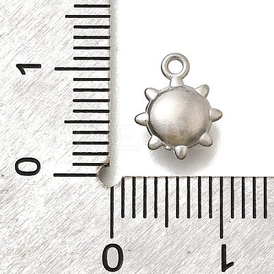304 Stainless Steel Charms STAS-D310-06P-01-1