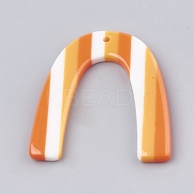 Resin Pendants CRES-T008-38E-1