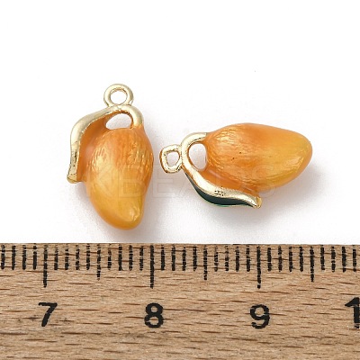 Brass Enamel Charms KK-F903-01B-G-1