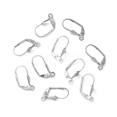 Tarnish Resistant 304 Stainless Steel Leverback Earring Findings STAS-E007-2-1