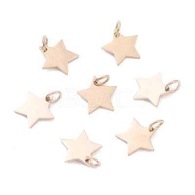 (Defective Closeout Sale: Scratches)304 Stainless Steel Charms LS-STAS-XCP0001-35-1