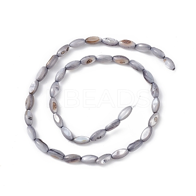 Natural Freshwater Shell Dyed Beads Strands SHEL-M018-13-04-1