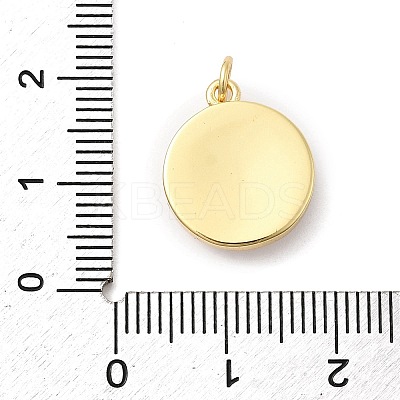 Brass Enamel Pendants KK-A278-02A-G-1