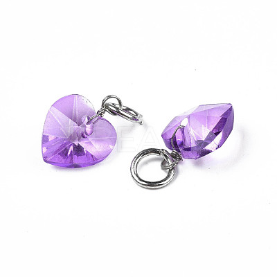 Faceted Transparent Glass Charms GLAA-T024-04B-1