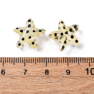Handmade Lampwork Beads Strands LAMP-I027-09G-1