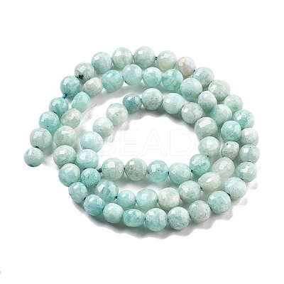 Natural Amazonite Beads Strands G-C179-J01-01-1