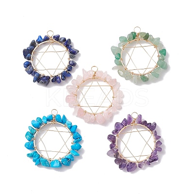 5Pcs 5 Styles Natural & Synthetic Mixed Gemstone Chip Copper Wire Wrapped Pendants PALLOY-JF02549-01S-1