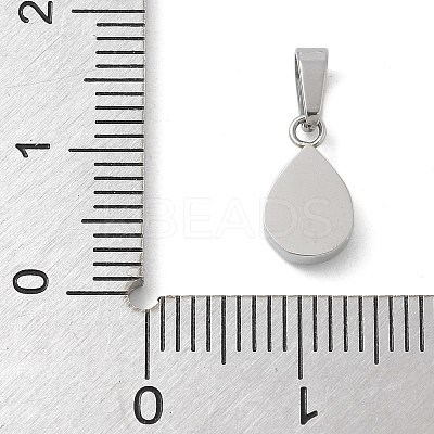 Ion Plating(IP) 304 Stainless Steel Micro Pave Cubic Zirconia Pendants STAS-Z107-02P-03-1