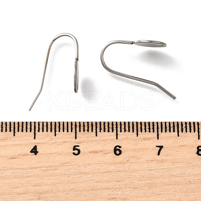 304 Stainless Steel Earring Hooks STAS-B087-09B-P-1