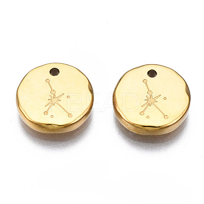 316 Surgical Stainless Steel Charms X-STAS-S116-418I-G-1