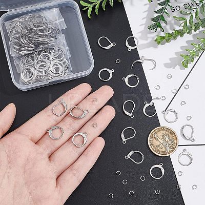 120Pcs 2 Style 304 Stainless Steel Leverback Earring Findings STAS-UN0038-45-1
