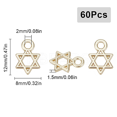 60Pcs Alloy Charms FIND-SC0009-21-1