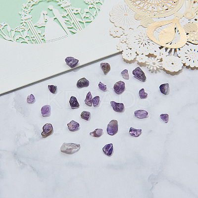 Natural Amethyst Chip Beads G-CJ0001-23-1