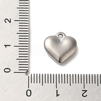 Non-Tarnish 304 Stainless Steel Pendants STAS-R223-02A-1