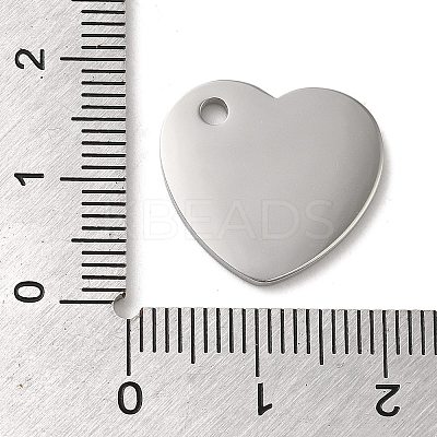 Non-Tarnish 304 Stainless Steel Pendants STAS-K270-05P-1