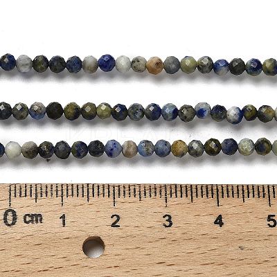Natural Lapis Lazuli Beads Strands G-RM2025-A21-3mm-1