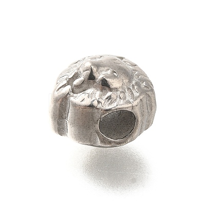 Anti-Tarnish 304 Stainless Steel European Beads STAS-I321-50P-1