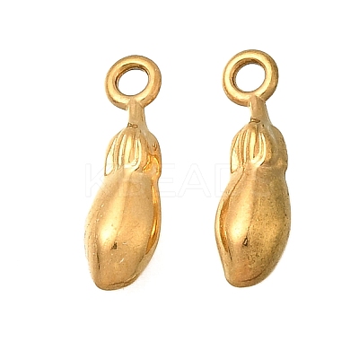 304 Stainless Steel Charms STAS-Z160-20G-1