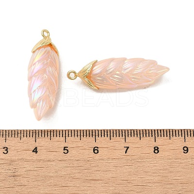 Rainbow Iridescent Plating Resin Pendants LS-RESI-C047-03A-G-1