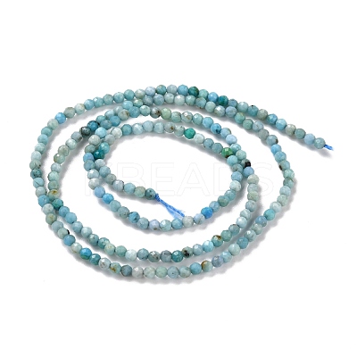 Natural Blue Opal Beads Strands G-K315-B05-A-1