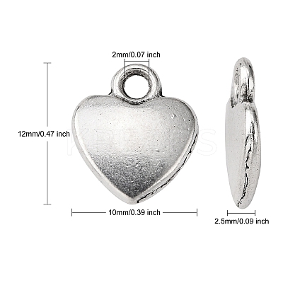 Tibetan Style Alloy Charms LS-LF1170Y-1