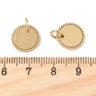304 Stainless Steel Charms STAS-L022-548A-G-1