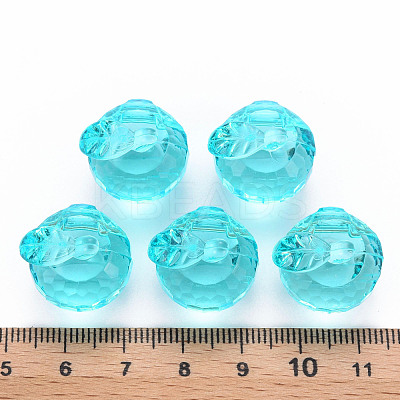 Transparent Acrylic Pendants TACR-T024-05B-946-1